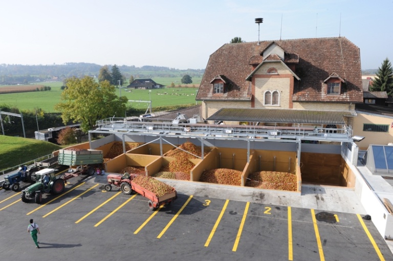 Première réception de fruits à cidre à la cidrerie de Sursee début septembre