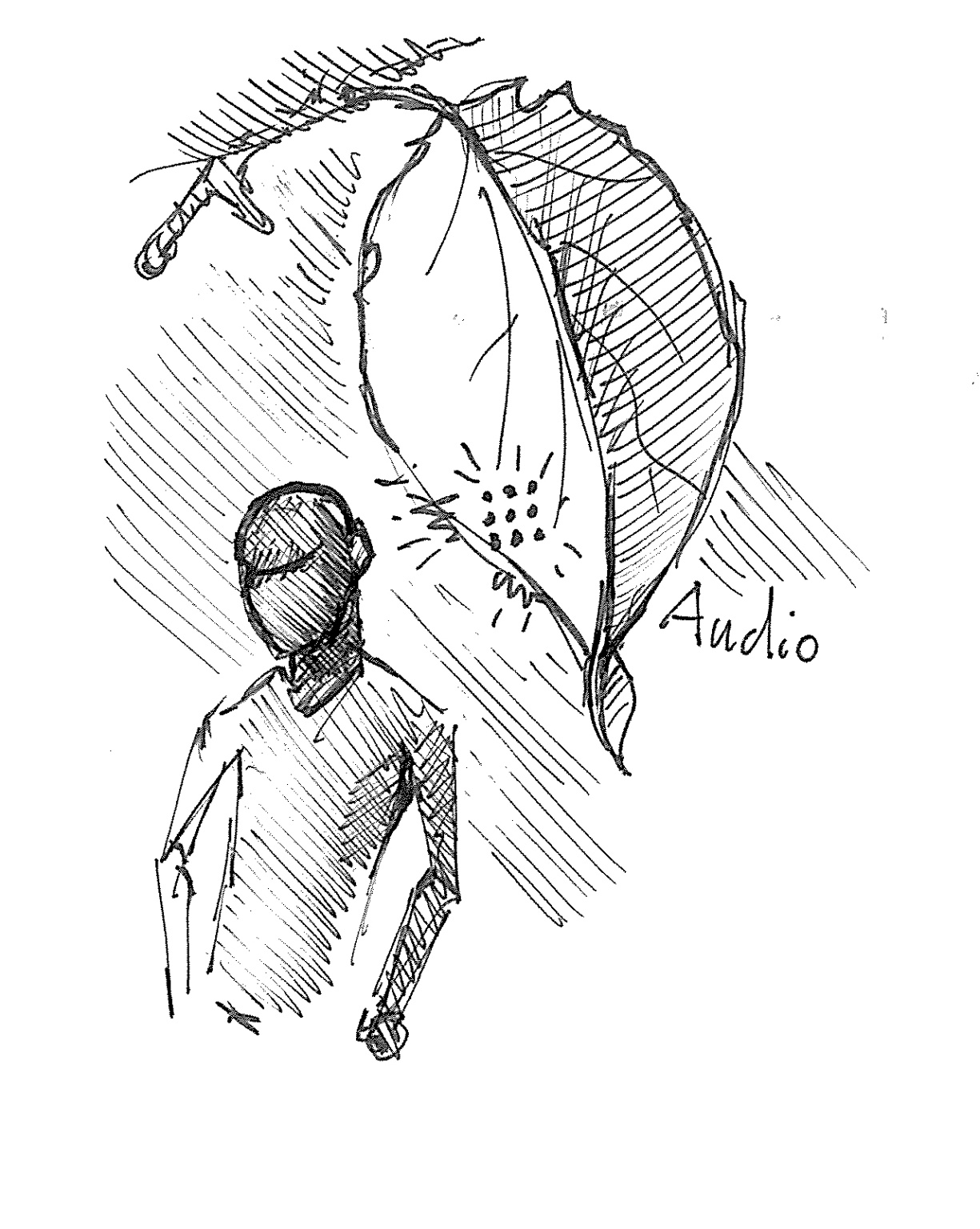 Die Entstehung der RAMSEIER Erlebniswelt RAMSEIER